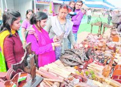 Handicaft fair