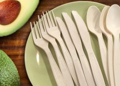 avocado plant and plastic