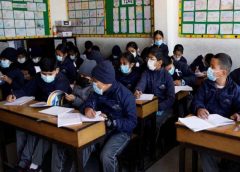 delhi and school