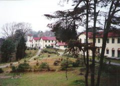 graham and school