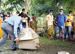 Bee Farming-1