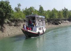 Sundarban