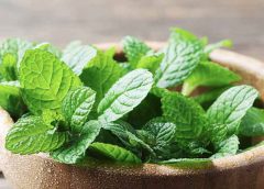 Mint