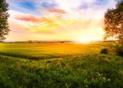 sunrise-2