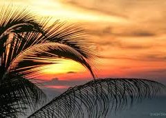 sunrise-3