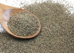 Ajwain-1