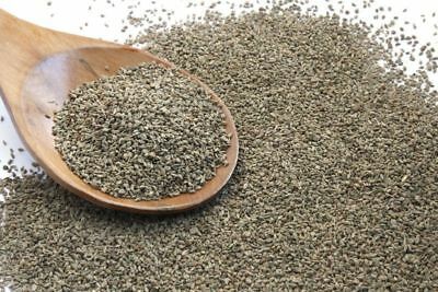 Ajwain-1