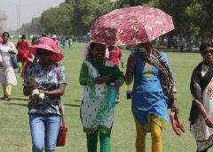 Summer Weather-2