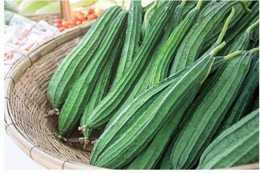 ridge gourd vegitable