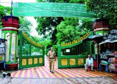 Botanical Garden-2
