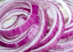 onions and special