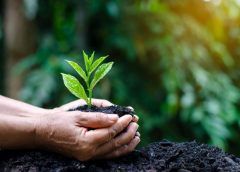 World Environment Day-1
