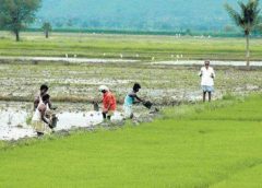 aman and east burdwan