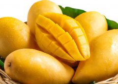 mango and health