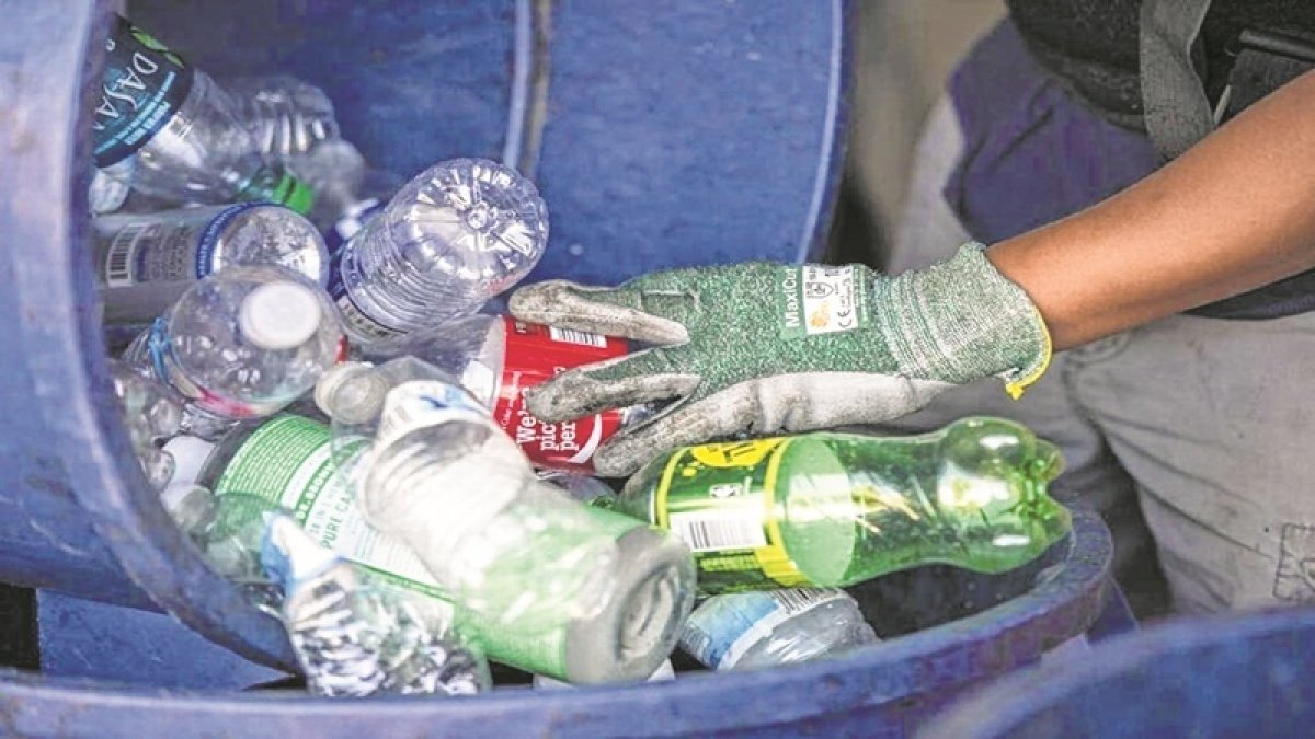 sundarban and baruipur