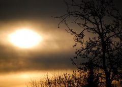 sunrise 3
