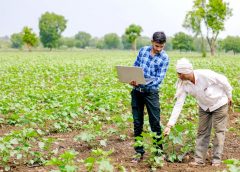 agriculture