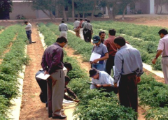 horticulture