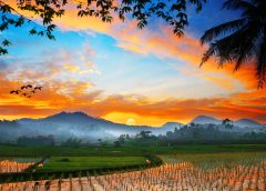 sunrise 3