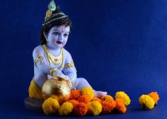 puja and krisno