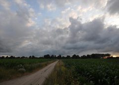 rain
