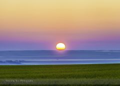 Sunrise