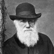 Charles Darwin-1