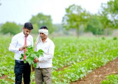National-Agricultural-Insurance-Scheme