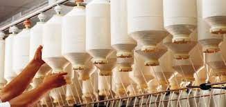 Small Cotton Industry-1