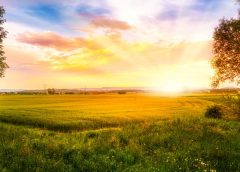 sunrise-1