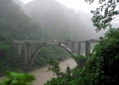 fog and north bengal