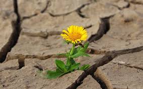 Life is not always the same