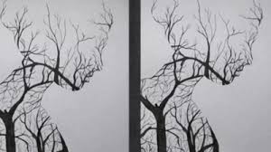 What to do if you are impatient