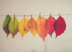 Change in people's life style