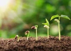 Importance of earning in life